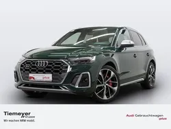 Grün Gebraucht 2023 Audi SQ5 Exclusive SUV | 66.880 € (Teuer)