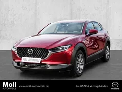 Rot Neu 2024 Mazda CX-30 Exclusive SUV | 31.980 €