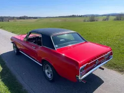 Rot Gebraucht 1967 Ford Mustang Coupé | 33.800 €