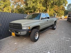 Grün Gebraucht 1997 Dodge Ram Abholung | 18.000 €