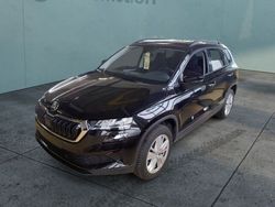 Grau Gebraucht 2024 Skoda Karoq Selection SUV | 29.283 € (Guter Preis)