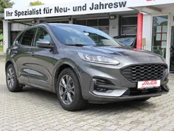 Grau Gebraucht 2024 Ford Kuga ST-Line SUV | 25.950 € (Superpreis)