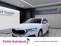 Weiss Gebraucht 2023 Skoda Octavia Style Kombi | 26.922 € (Guter Preis)