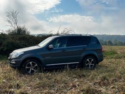 Grau Gebraucht 2017 Ssangyong (KGM) Rexton Sapphire SUV | 15.850 €
