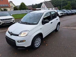 Weiß Neu 2024 Fiat Panda Kleinwagen | 15.990 €