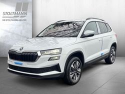 Moonweiß perleffekt Gebraucht 2024 Skoda Karoq Selection SUV | 36.990 € (Teuer)