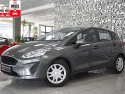 Grau Gebraucht 2019 Ford Fiesta Kleinwagen | 12.380 € (Fairer Preis)