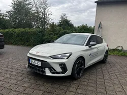 Taiga grey Gebraucht 2025 Cupra Leon Limousine | 32.987 € (Fairer Preis)