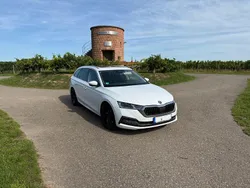 Weiß Gebraucht 2020 Skoda Octavia First Edition Kombi | 19.500 € (Guter Preis)