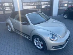VW Beetle