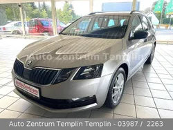 Beige Gebraucht 2018 Skoda Octavia Kombi | 11.990 € (Fairer Preis)