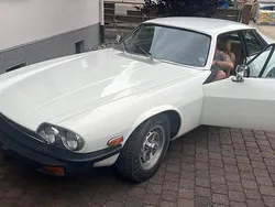 Weiß Gebraucht 1979 Jaguar XJS Coupé | 8.000 €