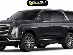 Grau Neu 2025 Cadillac Escalade SUV | 151.400 €
