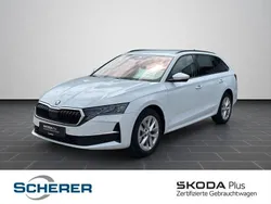 Moonweiß perleffekt (metallic) Gebraucht 2024 Skoda Octavia Selection Limousine | 28.500 € (Guter Preis)