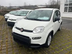 Weiß Neu 2025 Fiat Panda Kleinwagen | 13.990 € (Fairer Preis)