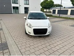 Weiß Gebraucht 2009 Fiat Punto Kleinwagen | 1.650 € (Guter Preis)