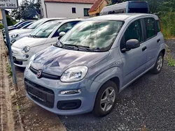 Grau Gebraucht 2020 Fiat Panda Easy Kleinwagen | 9.990 € (Fairer Preis)