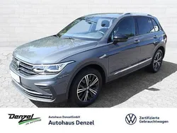 Delfingrau metallic Gebraucht 2021 VW Tiguan Active SUV | 23.990 € (Guter Preis)
