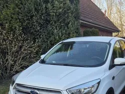 Weiß Gebraucht 2019 Ford Kuga Trend SUV | 14.300 € (Superpreis)