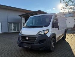 Weiß Gebraucht 2020 Fiat Ducato Van | 9.900 € (Superpreis)