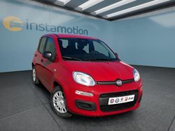 Rot Neu 2025 Fiat Panda Kleinwagen | 15.499 € (Fairer Preis)