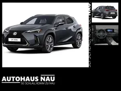 Sonic grey Neu 2025 Lexus UX 300h Sport Design Packet SUV | 38.990 € (Fairer Preis)