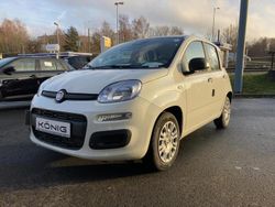 Schwarz Neu 2025 Fiat Panda Kleinwagen | 16.789 € (Etwas zu teuer)