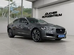 Grau Gebraucht 2019 Jaguar XF Pure Limousine | 19.990 € (Guter Preis)