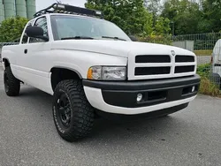 Weiß Gebraucht 1998 Dodge Ram Abholung | 10.500 €