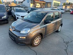 Colosseo grau Gebraucht 2022 Fiat Panda Kleinwagen | 11.490 €