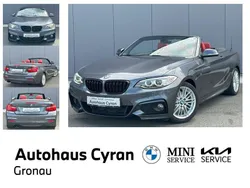 Andere Gebraucht 2015 BMW 228 M Sport Cabrio | 20.500 € (Fairer Preis)