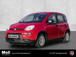 Rot Neu 2024 Fiat Panda Kleinwagen | 15.480 €