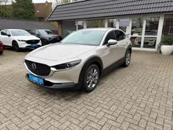 Platinum quartz m Neu 2025 Mazda CX-30 Exclusive-Line SUV | 32.990 €