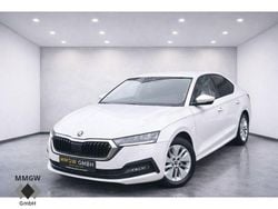 Weiß Gebraucht 2023 Skoda Octavia Ambition Limousine | 21.490 € (Guter Preis)