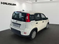 Gelato weiß Neu 2024 Fiat Panda Kleinwagen | 15.490 € (Fairer Preis)