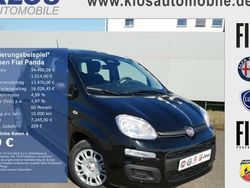 Schwarz Neu 2025 Fiat Panda Pop Kleinwagen | 14.490 € (Fairer Preis)