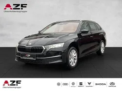Grau Neu 2025 Skoda Octavia Selection Kombi | 29.990 € (Guter Preis)