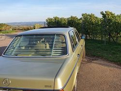 Grün Gebraucht 1982 Mercedes 240 Limousine | 13.100 €