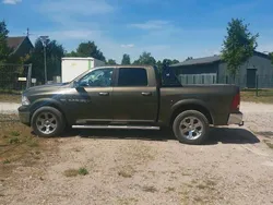 Grün Gebraucht 2012 Dodge Ram Abholung | 15.000 €