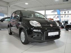 Schwarz Gebraucht 2024 Fiat Panda Kleinwagen | 16.390 € (Teuer)