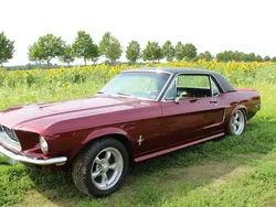 Rot Gebraucht 1968 Ford Mustang Coupé | 31.000 €