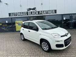 Weiß Gebraucht 2016 Fiat Panda Pop Kleinwagen | 5.900 € (Fairer Preis)