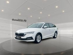 Weiß Gebraucht 2022 Skoda Octavia Ambition Kombi | 22.979 € (Guter Preis)