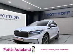 Weiss Gebraucht 2023 Skoda Enyaq iV Suite SUV | 40.997 € (Fairer Preis)