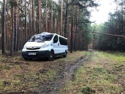 Weiß Gebraucht 2013 Opel Vivaro Van | 14.000 €