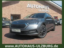 Grau Gebraucht 2022 Skoda Octavia Clever Kombi | 19.900 € (Guter Preis)