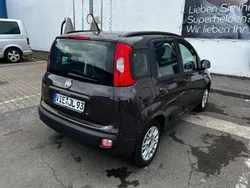 Braun Gebraucht 2012 Fiat Panda Lounge Kleinwagen | 4.200 € (Fairer Preis)