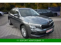 Grau Neu 2024 Skoda Kamiq SUV | 25.990 € (Etwas zu teuer)
