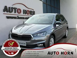 Grau Neu 2025 Skoda Fabia Limousine | 18.799 € (Guter Preis)