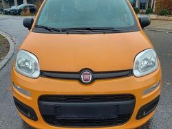 Orange Gebraucht 2021 Fiat Panda Kleinwagen | 9.600 € (Guter Preis)